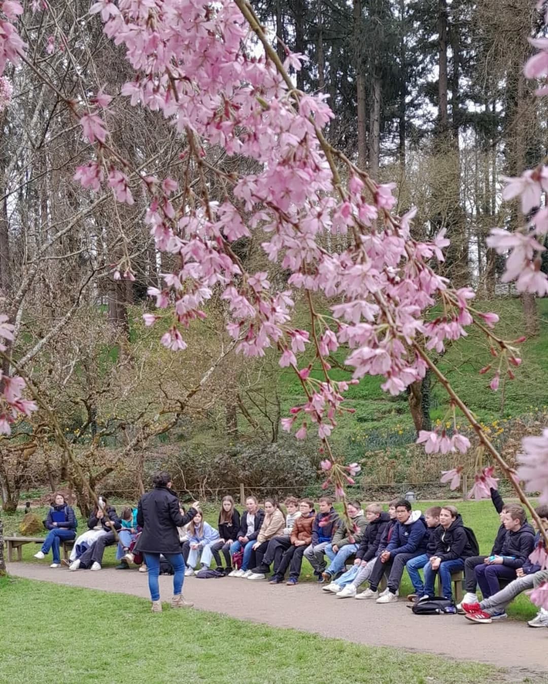 486367701_18037221089573351_2929756251080409617_n Découverte du parc avec une guide